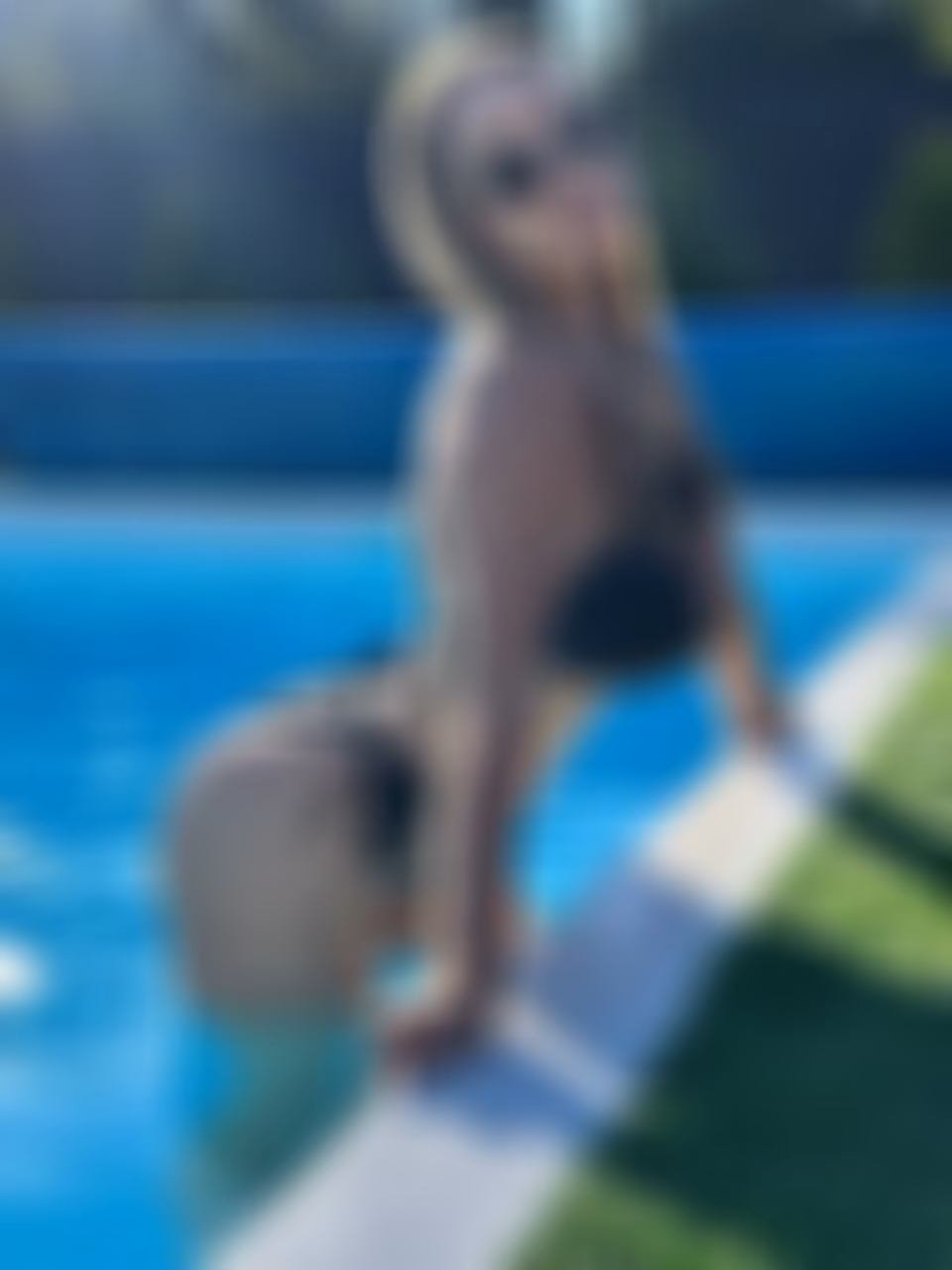 Vollstandiges Profil