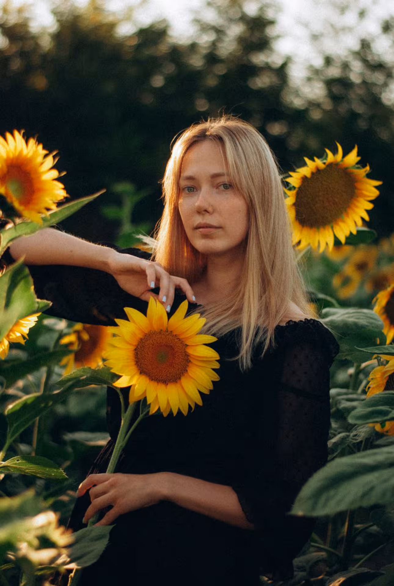 Anastasia be2 partnervermittlung