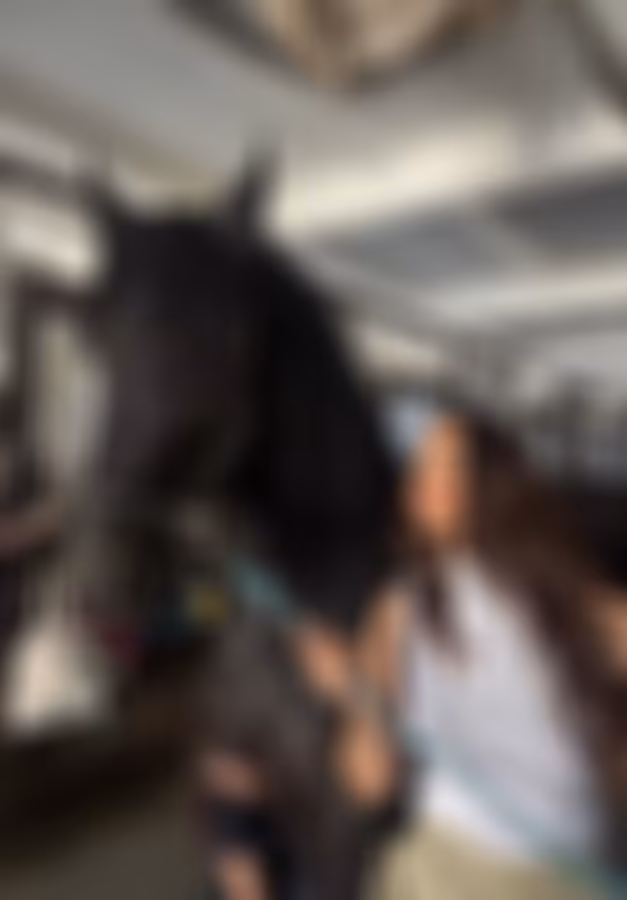 Simona partnervermittlung akademiker